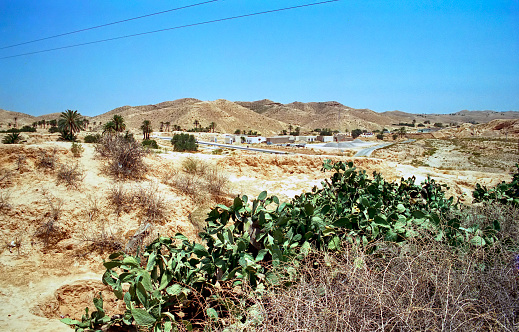 view of desert landscape and the trees in  Matmata