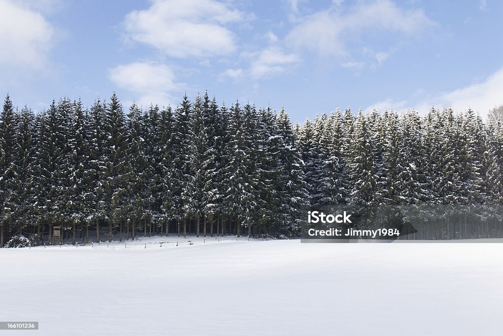 Inverno na Bavária - Foto de stock de Azul royalty-free