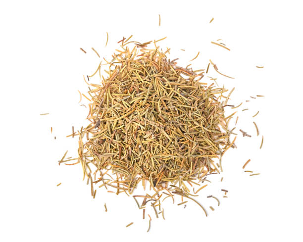 istock dry rosemary isolated on white background 1661019367