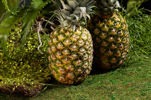 Two pineapples on a green tropical background