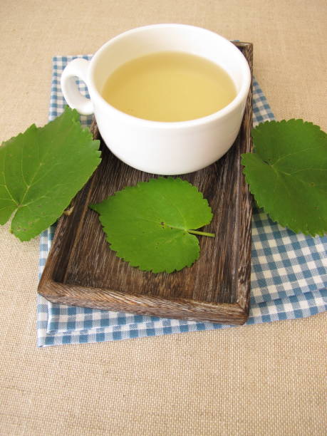 istock Mulberry leaf tea: herbal tea from white mulberry leaves 1661028619