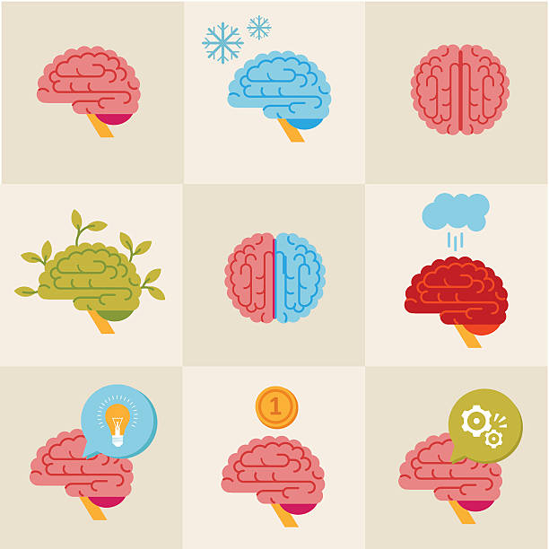 Brain icons vector art illustration