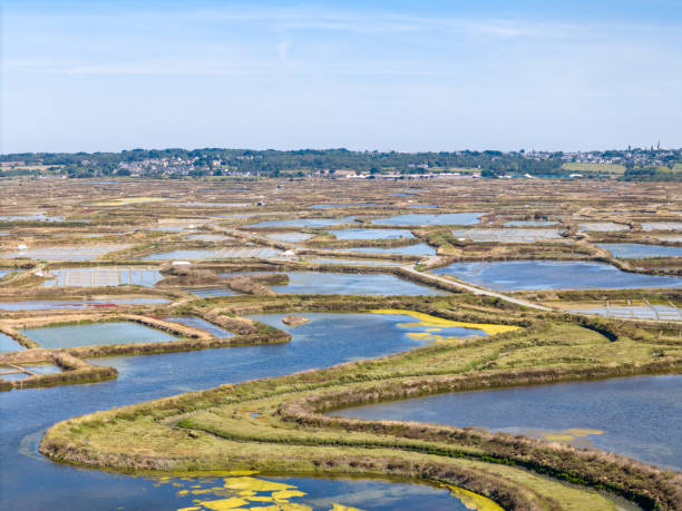 istock Guerande salt marshes 1661050281