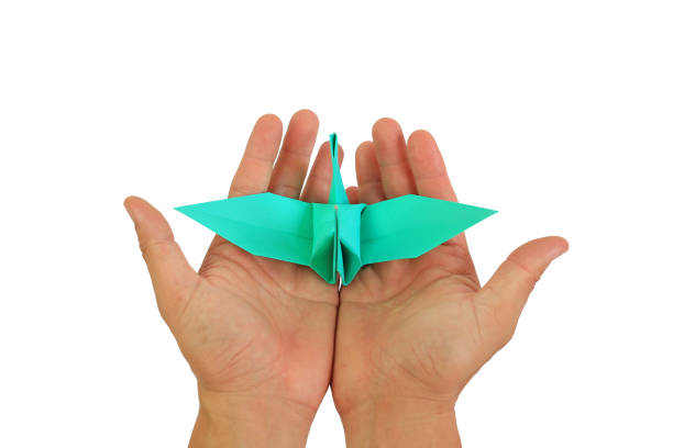 istock People hands with origami bird isolated on white background. Freedom concept. Image with Clipping path. 1661054073