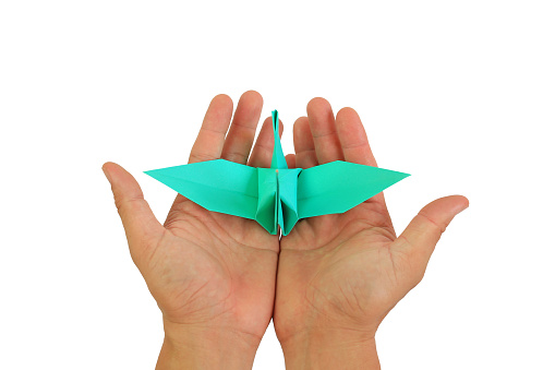 People hands with origami bird isolated on white background. Freedom concept. Image with Clipping path.