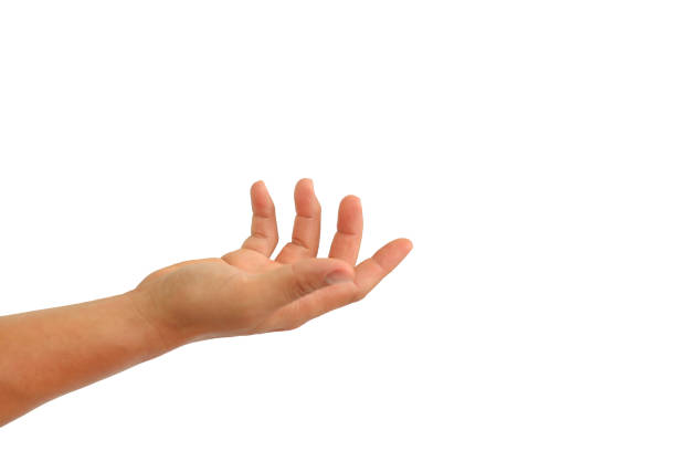 istock People hand with open palm up or receive gesture isolated on white background. Image with Clipping path 1661055181