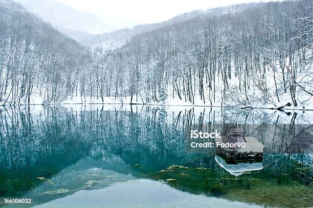 Зимнее Озеро — стоковые фотографии и другие картинки Без людей - Без людей, Вода, Возвышенность