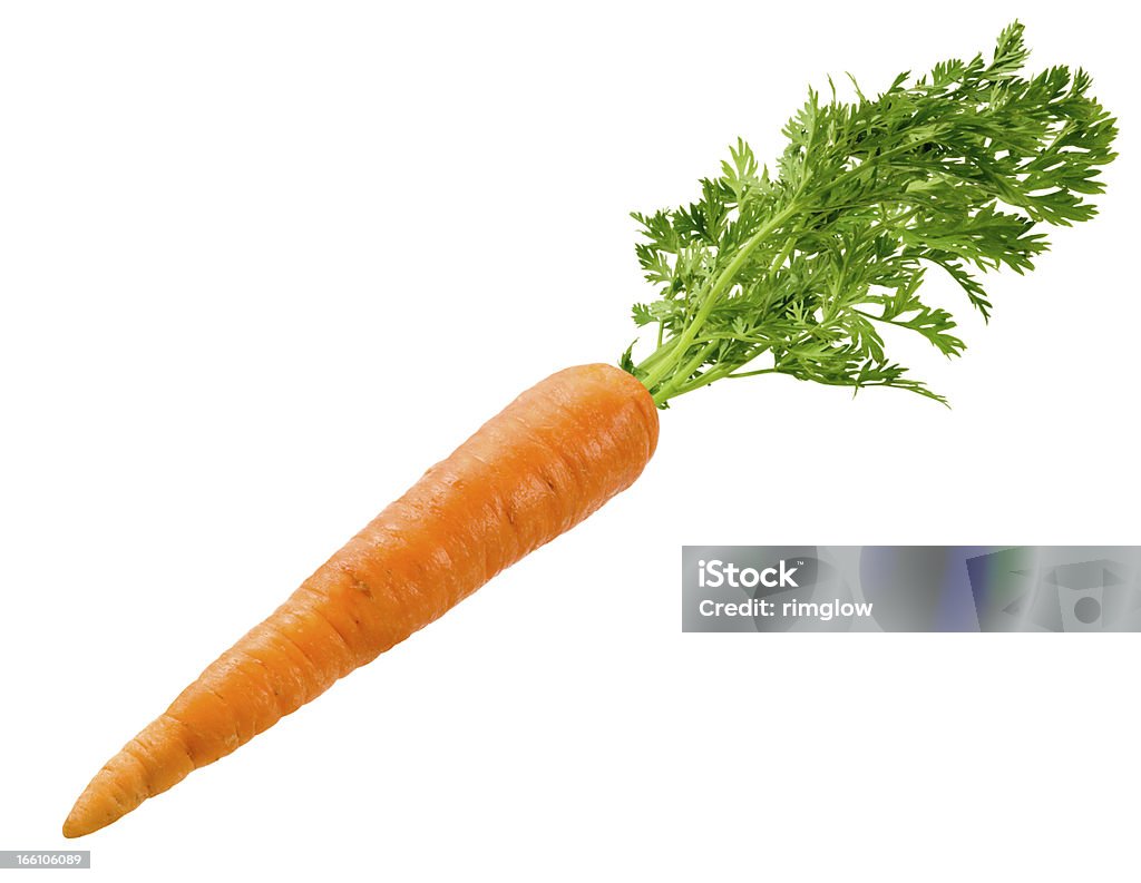 Carrot Isolated  A single stalk of carrot with green leaves.  The image is shown at an angle, and is in full focus from front to back.  The carrot is a orange-colored root eaten as a vegetable.  It is considered a healthy food and is full of vitamins.  It also serves as an ingredient in many recipes. Carrot Stock Photo