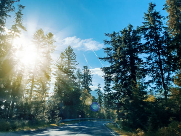 istock Asphalt highway throungh mountain forest scenery. 1661066995