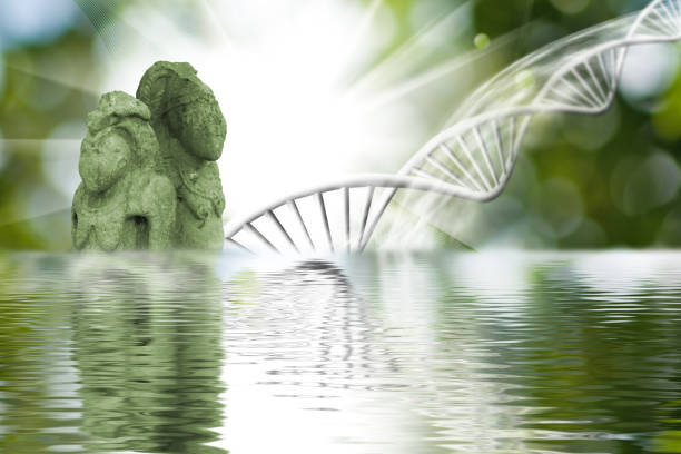 istock image of ancient cult figures and stylized DNA chains and their reflection in water 1661069670