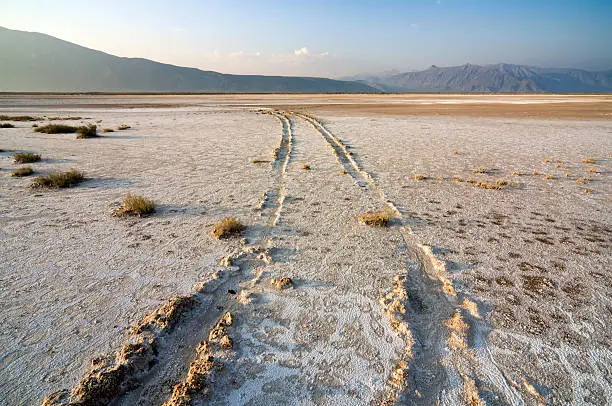 Tracks of joyriders crossing the dried out salt marshes. Evaporated water has created a thick salt crust in the desert of Cuatro Cienegas, north Mexico. Cuatrocienegas is a protected area and a national park.