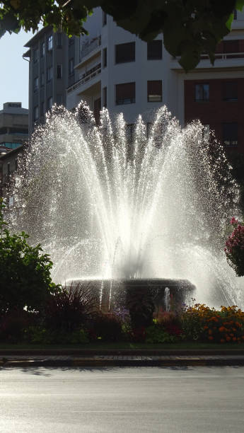 istock ornamental fountain in a gazebo 1661086427