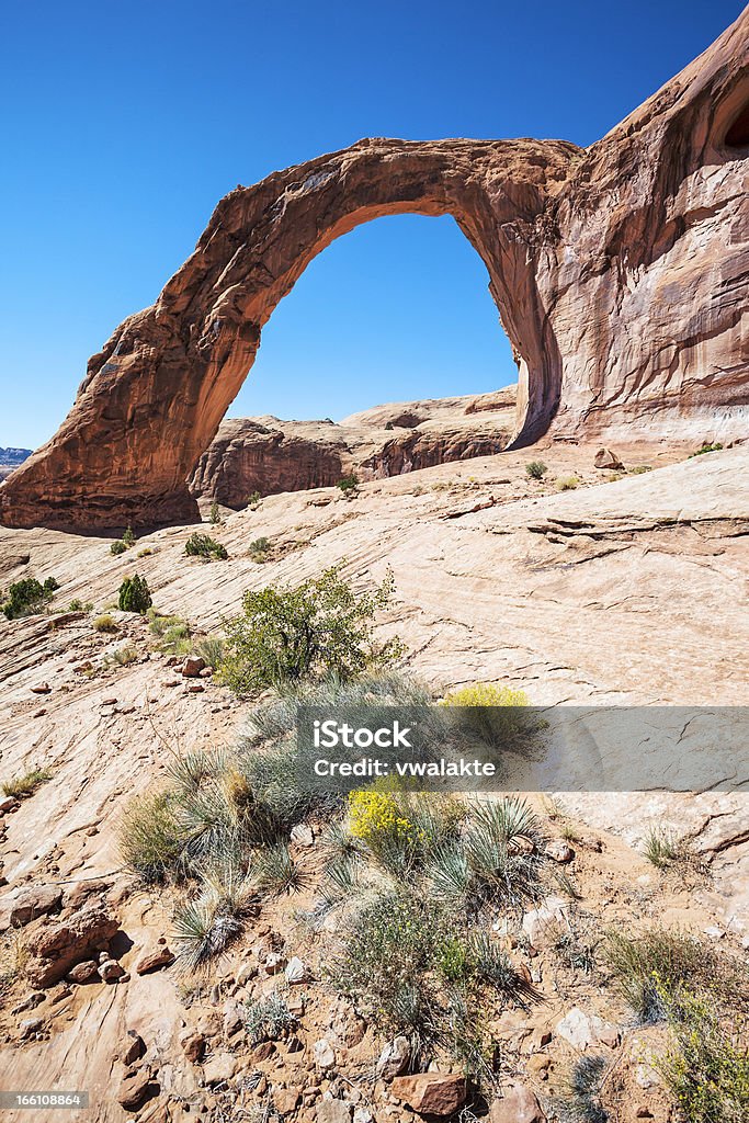 Visualizzazione verticale della famosa Formazione rocciosa Corona Arch - Foto stock royalty-free di Ambientazione esterna