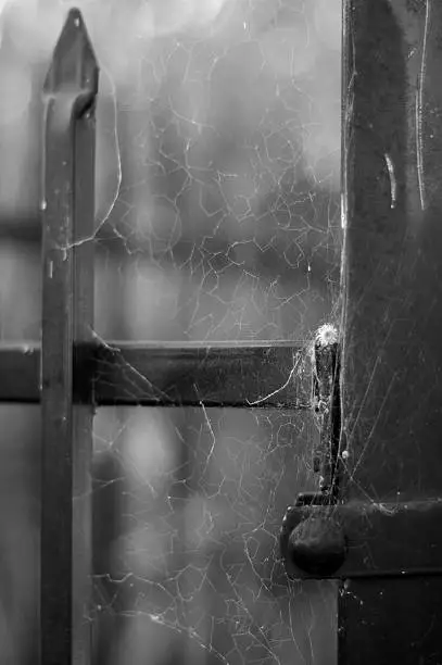 Photo of Hinge with spider web Black & White