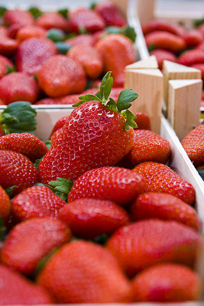 strawberries in boxes stock photo