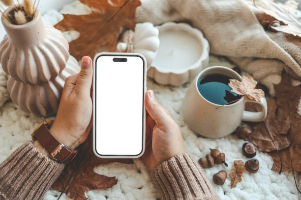 istock Phone with an isolated screen in hands, autumn mood 1661091341