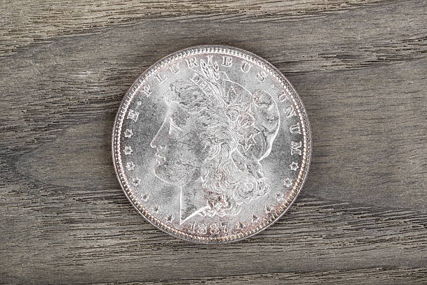 istock High Qaulity Silver Dollar on aging wood 166109149