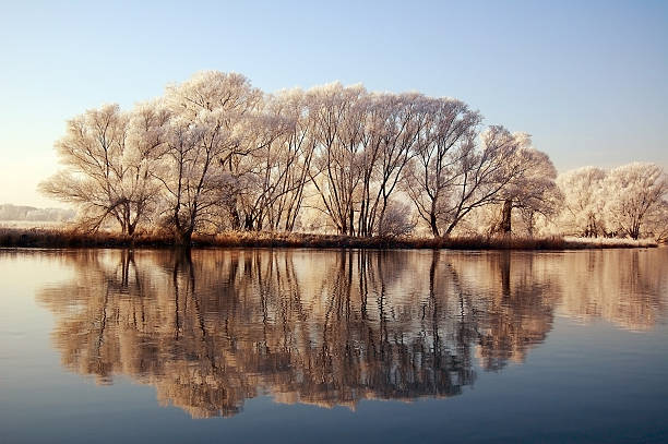 istock winter landscape at Havel River (Germany) 166109202
