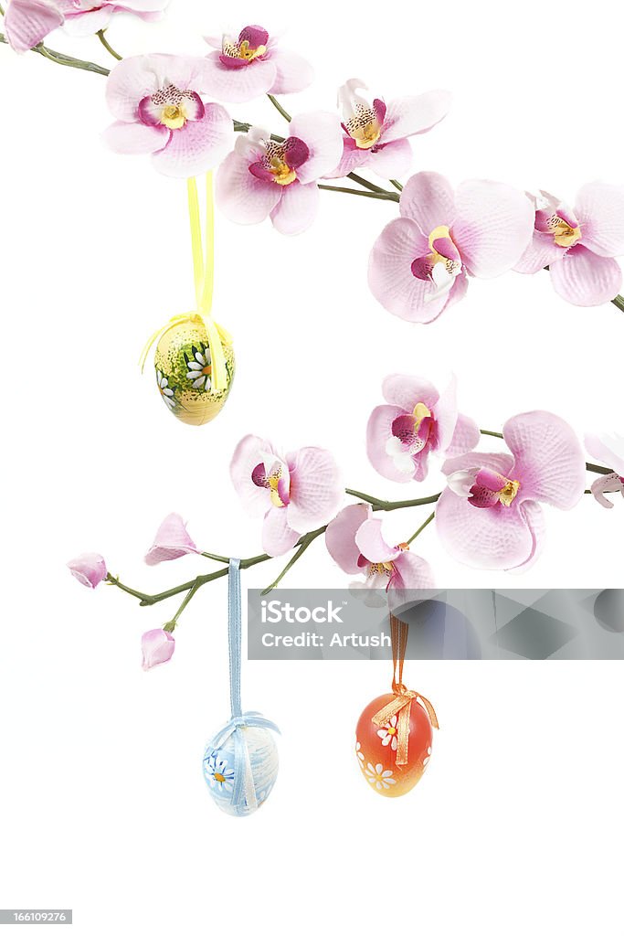 hanged amplia de color de los huevos de Pascua con bows en primavera flor - Foto de stock de Acontecimiento libre de derechos