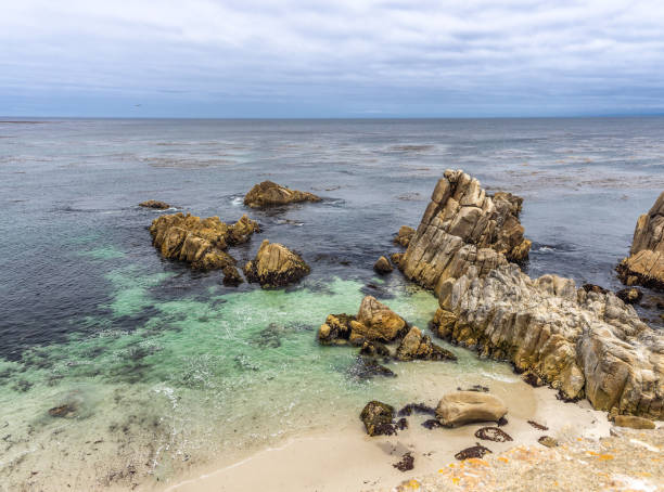 Monterey coastline, California USA