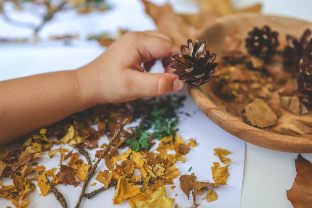 istock Children's creative activities, autumn idea 1661098943