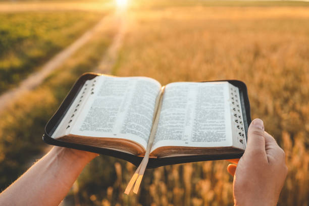 istock Open bible in hands, wheat field and road, christian concept 1661099495