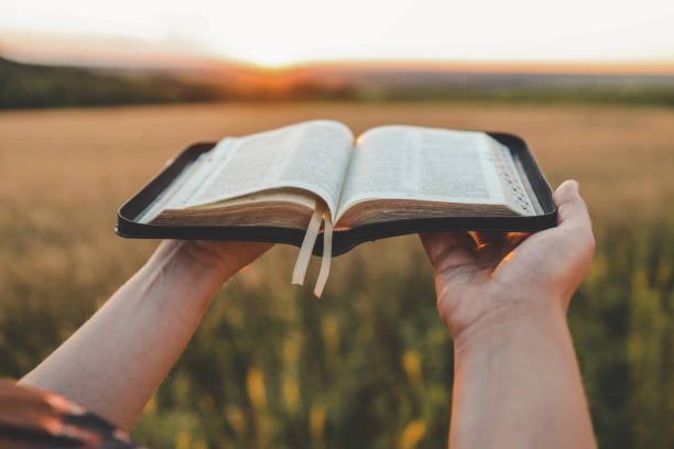 istock Open bible in hands, sunset in the wheat field, christian concept 1661099496