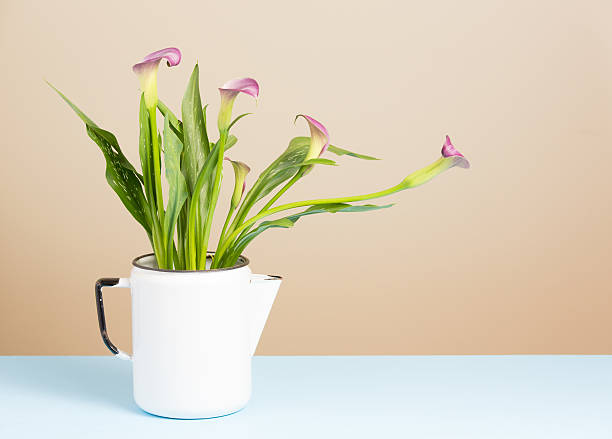 istock Purple lilies in vintage white pitcher 166110062