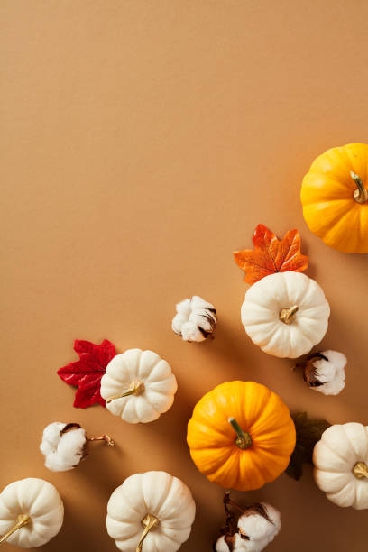 istock Vertical flat lay composition with pumpkins, maple leaves, cotton on beige background. Autumn, fall, Thanksgiving concept. 1661107614
