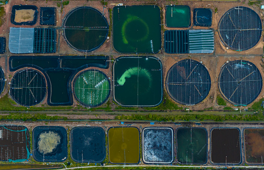 Abstract aerial photo of shrimp farm in coastal Ha Tien, Kien Giang province