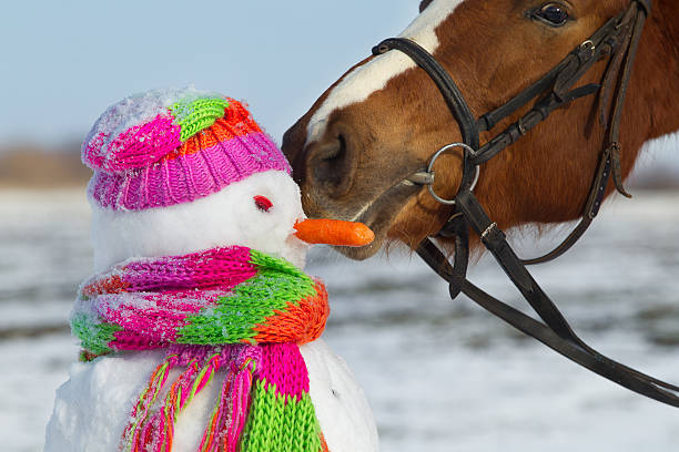 istock Horse and snowman 166111195