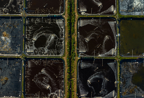 Abstract aerial photo of shrimp farm in coastal Ha Tien, Kien Giang province
