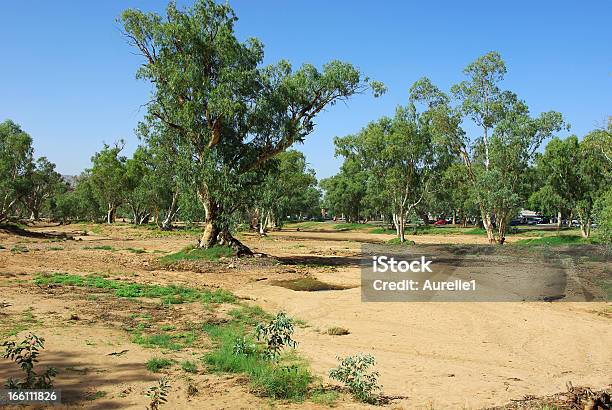 Paisagem Central Da Austrália - Fotografias de stock e mais imagens de Ajardinado - Ajardinado, Alice Springs, Ao Ar Livre