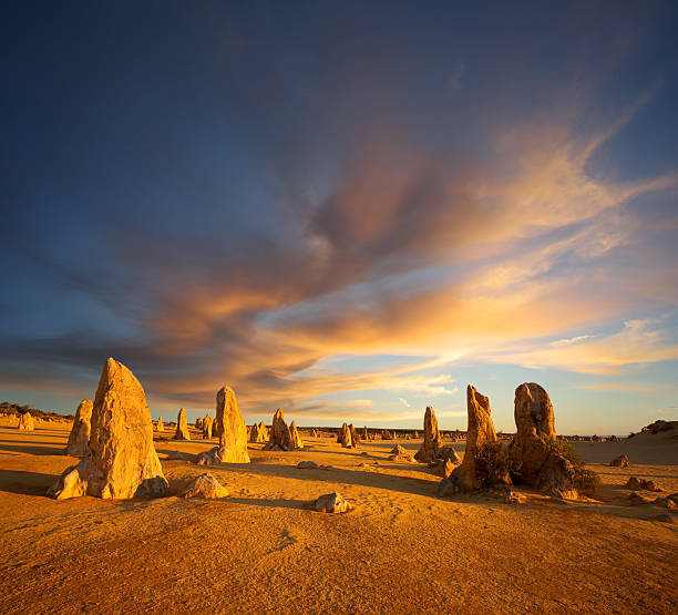 deserto de pinnacles austrália ocidental deserto australiano - nambung national park imagens e fotografias de stock