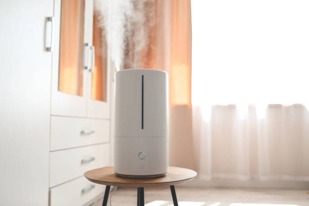 istock Modern air humidifier on table in living room. Space for text 1661120627