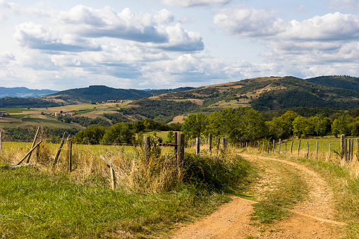 Landscape of hills and vineyards of Beaujolais near the village of Oingt from a hiking trail