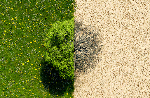 drone view of a green landscape with half in drought. concept of climate change, environment and global warming. 3d rendering
