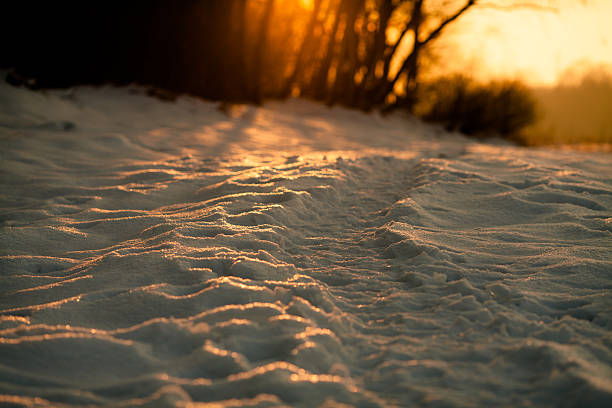 Winter trail at sunset stock photo