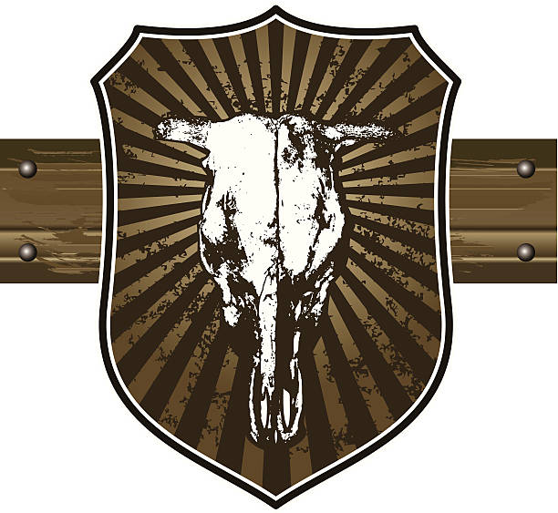 головы быка с гранж, винтажные щит - animal skull cow animals in the wild west stock illustrations