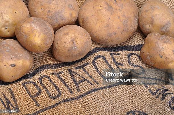 Batatas - Fotografias de stock e mais imagens de Agricultura - Agricultura, Alimentação Saudável, Aniagem de Cânhamo