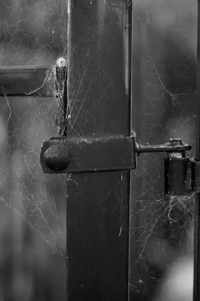 Photo of Hinge with spider web Black & White