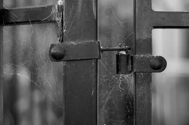 Photo of Hinge with spider web Black & White