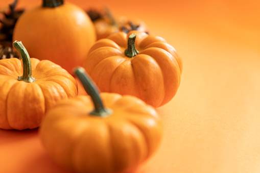 Round orange pumpkin isolated on white background