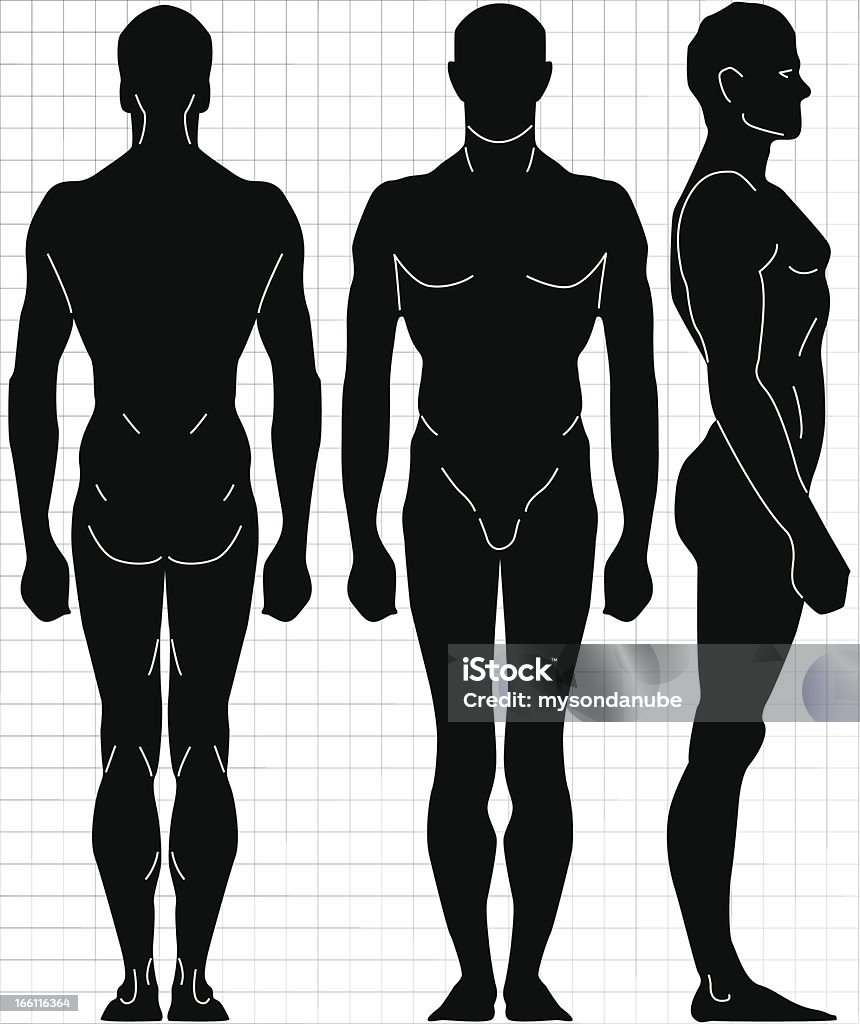 Illustration mâle partie du corps humain - clipart vectoriel de Corps humain libre de droits