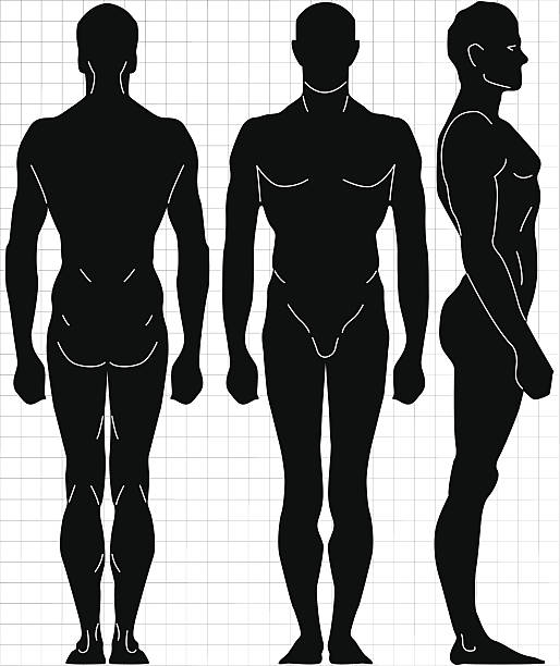 Human Body Side View Drawing