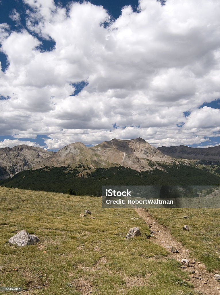 Browns Pass Trail w Collegiate Peaks Wilderness - Zbiór zdjęć royalty-free (Bez ludzi)