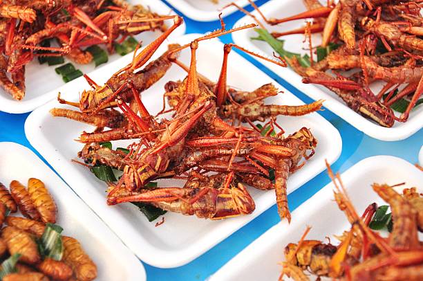 istock close up special food , Fried grasshoppers 166116640