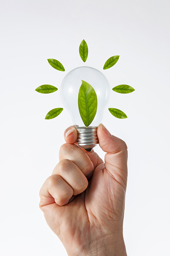 Green energy with hand holding a light bulb with green leaf inside