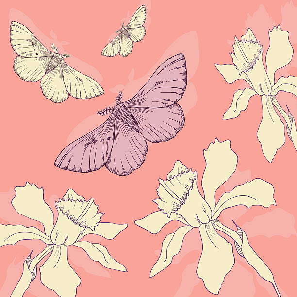 ilustraciones, imágenes clip art, dibujos animados e iconos de stock de mariposas y narcissus - daffodil flower silhouette butterfly