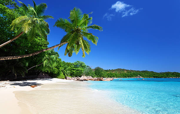 istock Anse Lazio beach at Praslin island, Seychelles 166118418